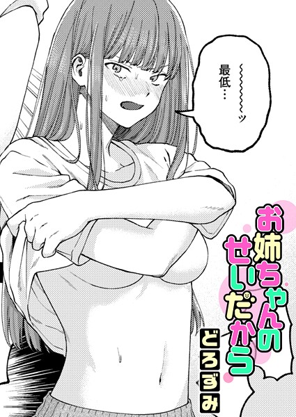 お姉ちゃんのせいだから h研