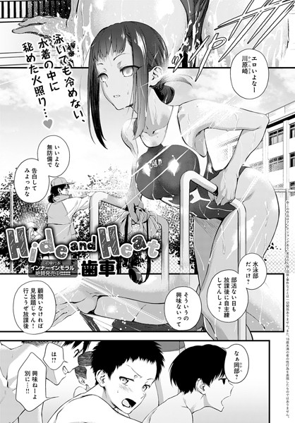 Hide and Heat h研