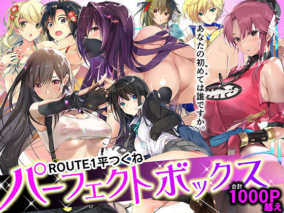 ROUTE1 平つくね パーフェクトボックス h研