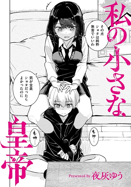 私の小さな皇帝 h研